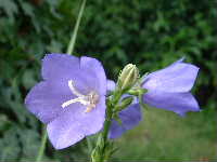 Cjp_2002_0712_103535AA.jpg