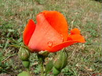 Cjp_2002_0731_121457AA.JPG