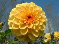 Cjp_2002_1004_123518AA.jpg