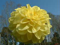 Cjp_2002_1004_123857AA.jpg