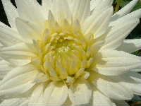 Cjp_2002_1004_124013AA.jpg
