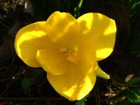Cjp_2002_1004_125208AA.jpg