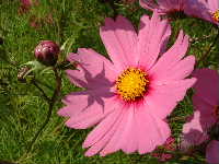 Cjp_2002_1011_114543AA.JPG