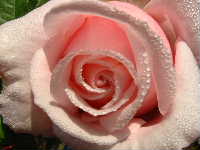 Cjp_2002_1011_114653AA.jpg