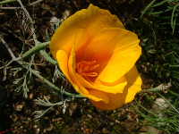 Cjp_2002_1011_114717AA.jpg