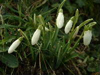 Cjp_2003_0214_153714AA.jpg