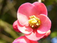 Cjp_2003_0224_164245AA.JPG