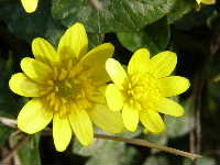 Cjp_2003_0226_125604AA.JPG