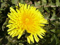 Cjp_2003_0226_131651AA.JPG