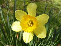 Cjp_2003_0302_120101AA.jpg