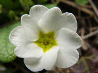 Cjp_2003_0310_143607AA.jpg