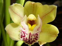 Cjp_2003_0315_142206AA.jpg