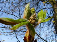 Cjp_2003_0320_170328AA.JPG