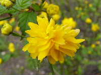 Cjp_2003_0327_094303AA.jpg