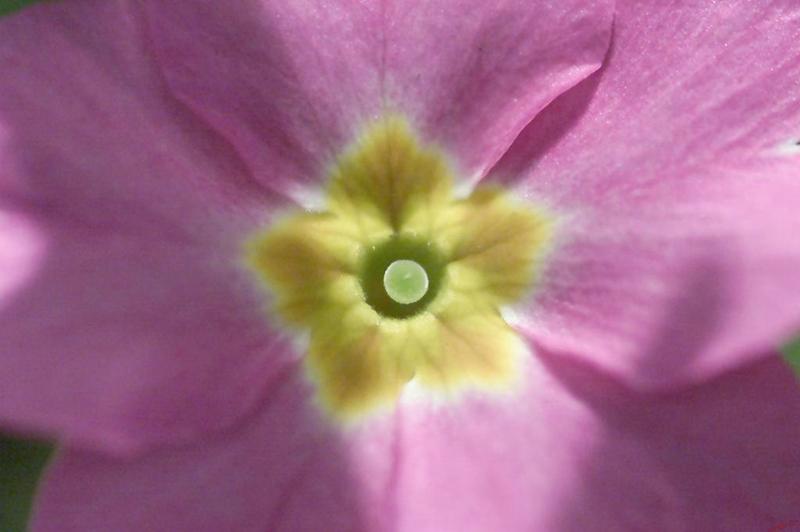 Cjp_2004_02_08_122516.jpg