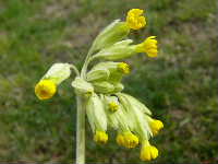 Cjp_2003_0404_163342AA.jpg