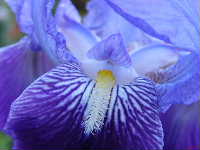Cjp_2003_0417_180814AA.JPG