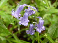 Cjp_2003_0430_160727AA.JPG