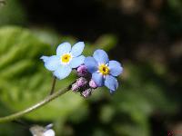 Cjp_2003_0516_090616.jpg