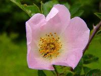 Cjp_2003_0523_163515.jpg