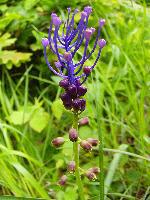 Cjp_2003_0523_165610.jpg