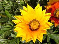 Cjp_2003_05_28_090631.jpg