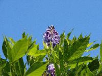 Cjp_2003_07_11_155430.jpg