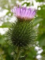 Cjp_2003_07_23_152014.jpg