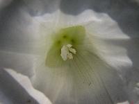 Cjp_2003_09_14_144721.jpg