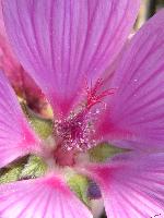 Cjp_2003_09_27_104952.jpg