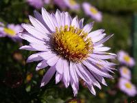 Cjp_2003_09_30_101049.jpg