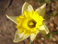 Cjp_2004_03_30_164150.jpg