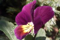 Cjp_2004_04_04_095501.jpg