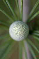 Cjp_2005_08_20_165950.JPG