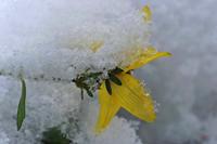 Cjp_2005_11_26_135740.jpg