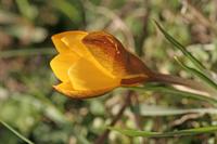 Cjp_2006_02_11_125911.JPG