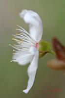 Cjp_2006_04_11_153729.JPG