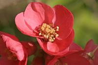 Cjp_2006_04_20_095458.JPG