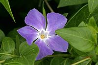 Cjp_2006_05_05_122859.JPG