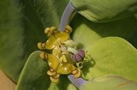 Cjp_2006_06_03_094151_RZ5.jpg