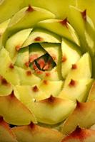 Cjp_2006_07_20_124844_2.jpg