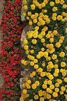 Cjp_2006_07_21_131250.JPG