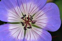Cjp_2006_10_15_130404.jpg