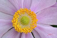 Cjp_2006_10_15_130428.jpg