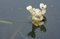 Cjp_2006_10_15_142955.jpg