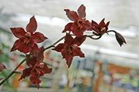 Cjp_2006_10_26_152404.JPG