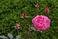 Cjp_2006_10_30_114032_2.jpg