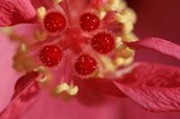 Cjp_2006_10_30_135536.JPG