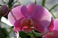 Cjp_2006_11_29_121849.jpg