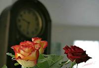 Cjp_2006_12_31_120429_RZ5_3.jpg